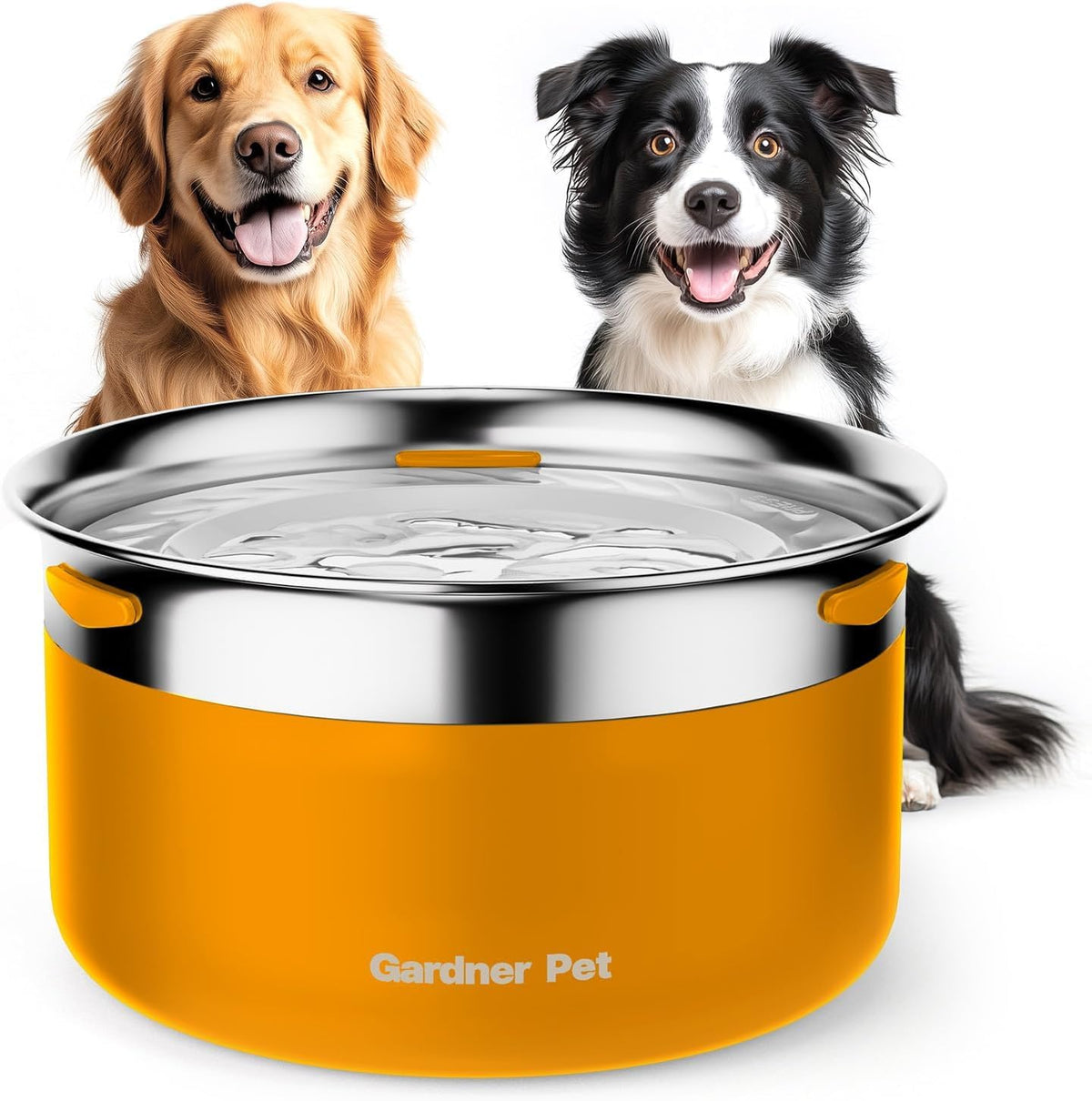 Gardner Pet bol eau inox-304, gros plan montrant durabilité et sécurité sanitaire.