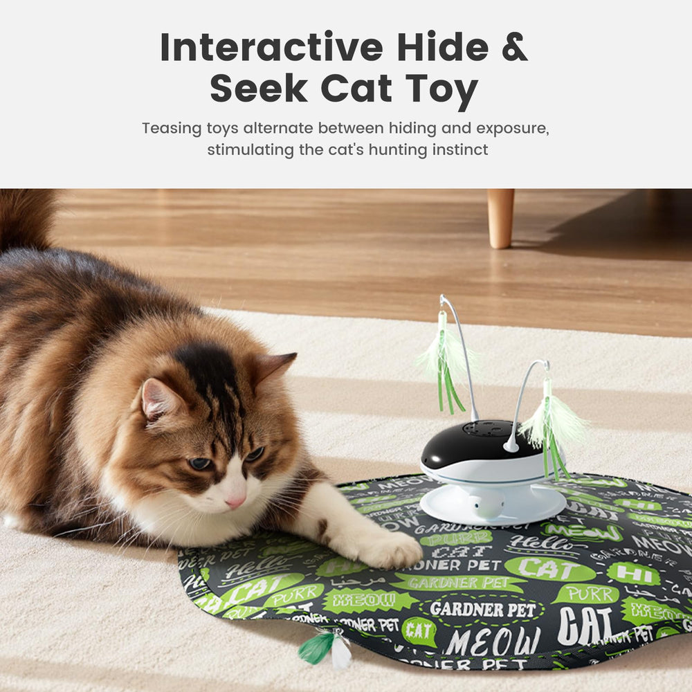 Gardner Pet Chat: balles sur piste pour exploration et exercice.