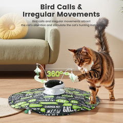 Gardner Pet Chat: rotation des plumes à 360° pour stimulation.