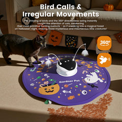 Gardner Pet sons d'oiseaux réalistes attirant l'attention du chat.