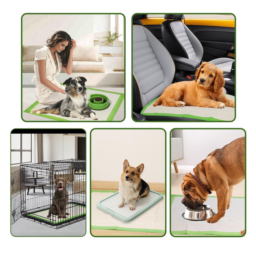 Gardner Pet compatible avec petits animaux et animaux âgés