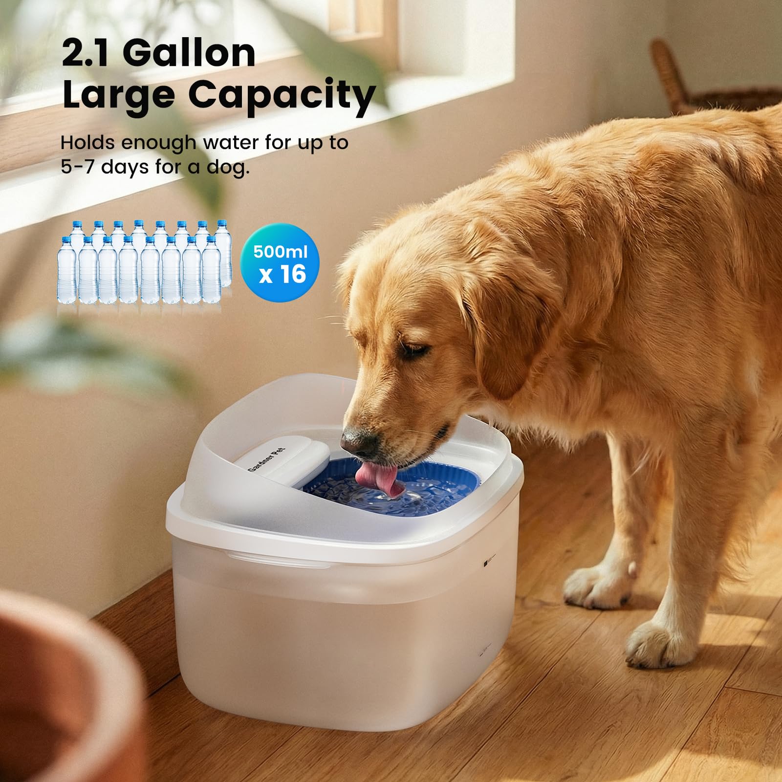 Gardner Pet fontaine avec flux vortex attire les chiens à boire plus