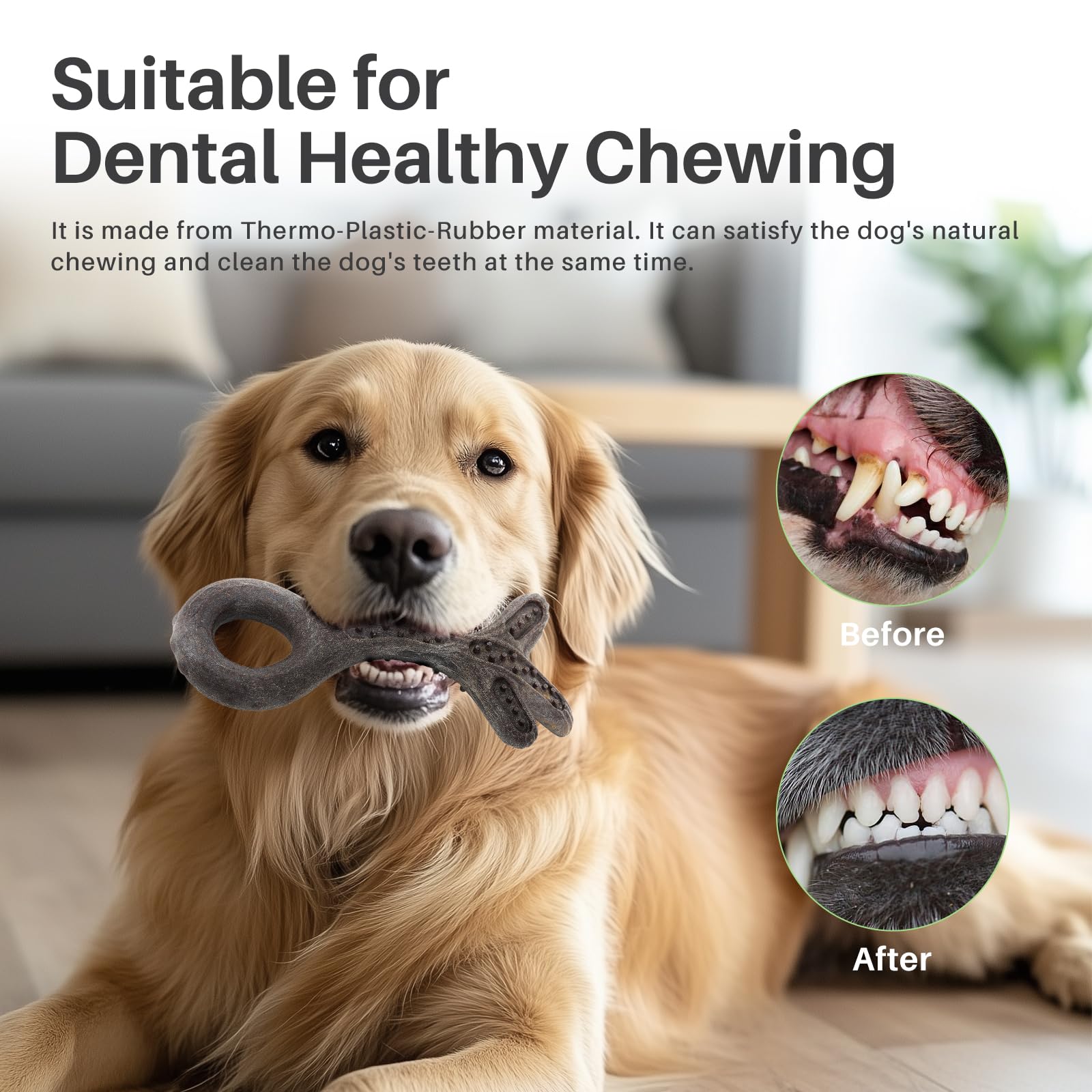 Gardner Pet jouet activité interactive pour chien actif.