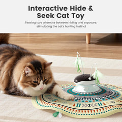 Gardner Pet cache et cherche tissu, stimulation mentale ludique