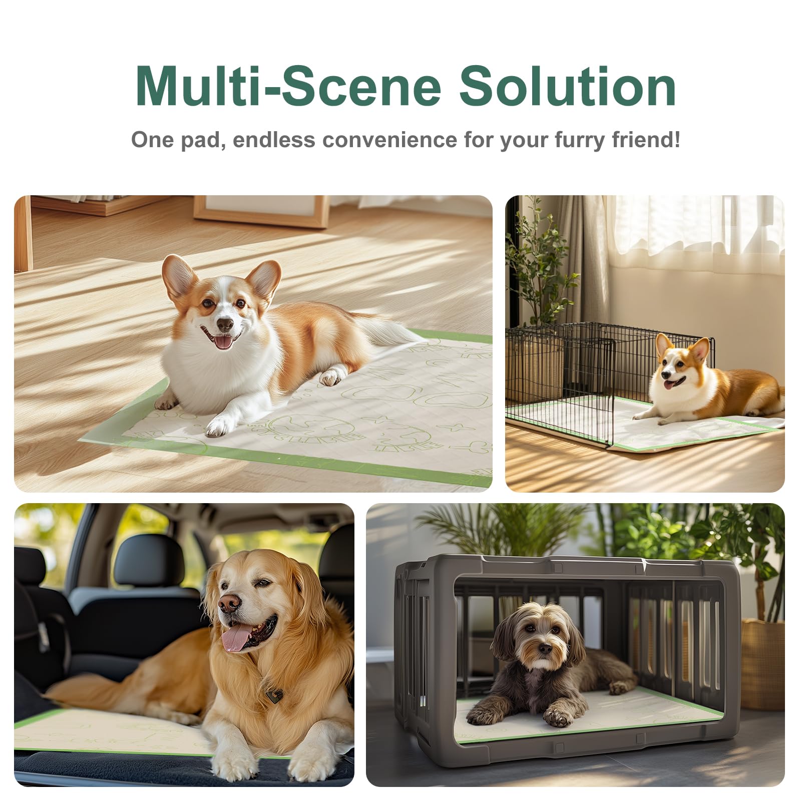 Gardner Pet Kit tapis toilettage 50 pièces : solution pratique pour l’entraînement régulier.
