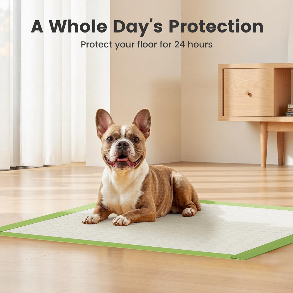 Gardner Pet membrane imperméable empêche les fuites et protège le sol