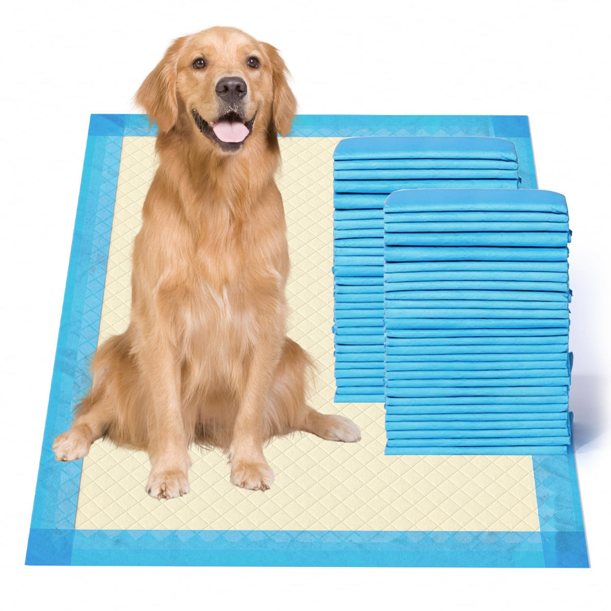 Gardner Pet pad ultra-absorbant 28x34 bleu, absorption rapide pour chien.