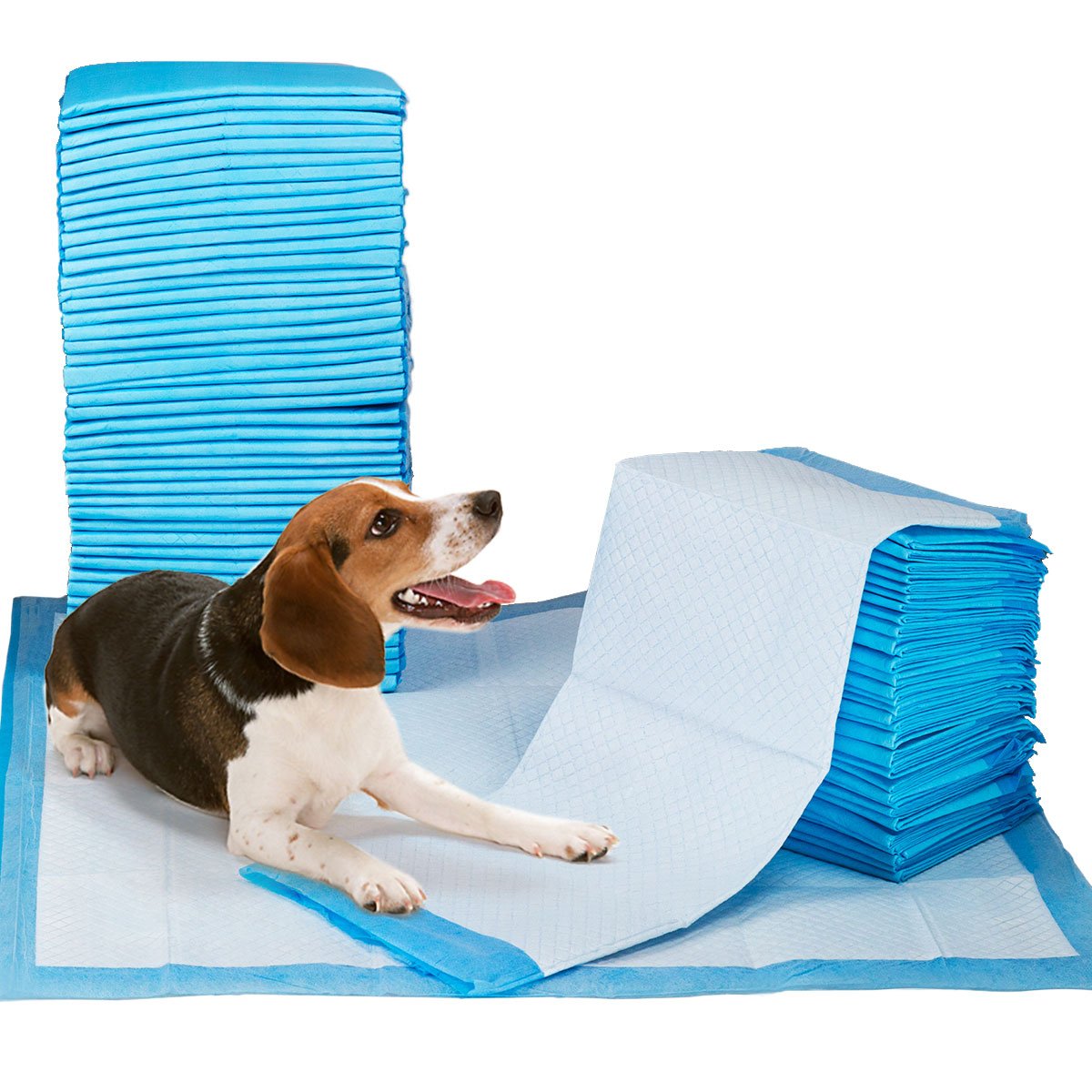 Gardner Pet Petfamily utilisation en voiture et voyage, pratique lors des déplacements.