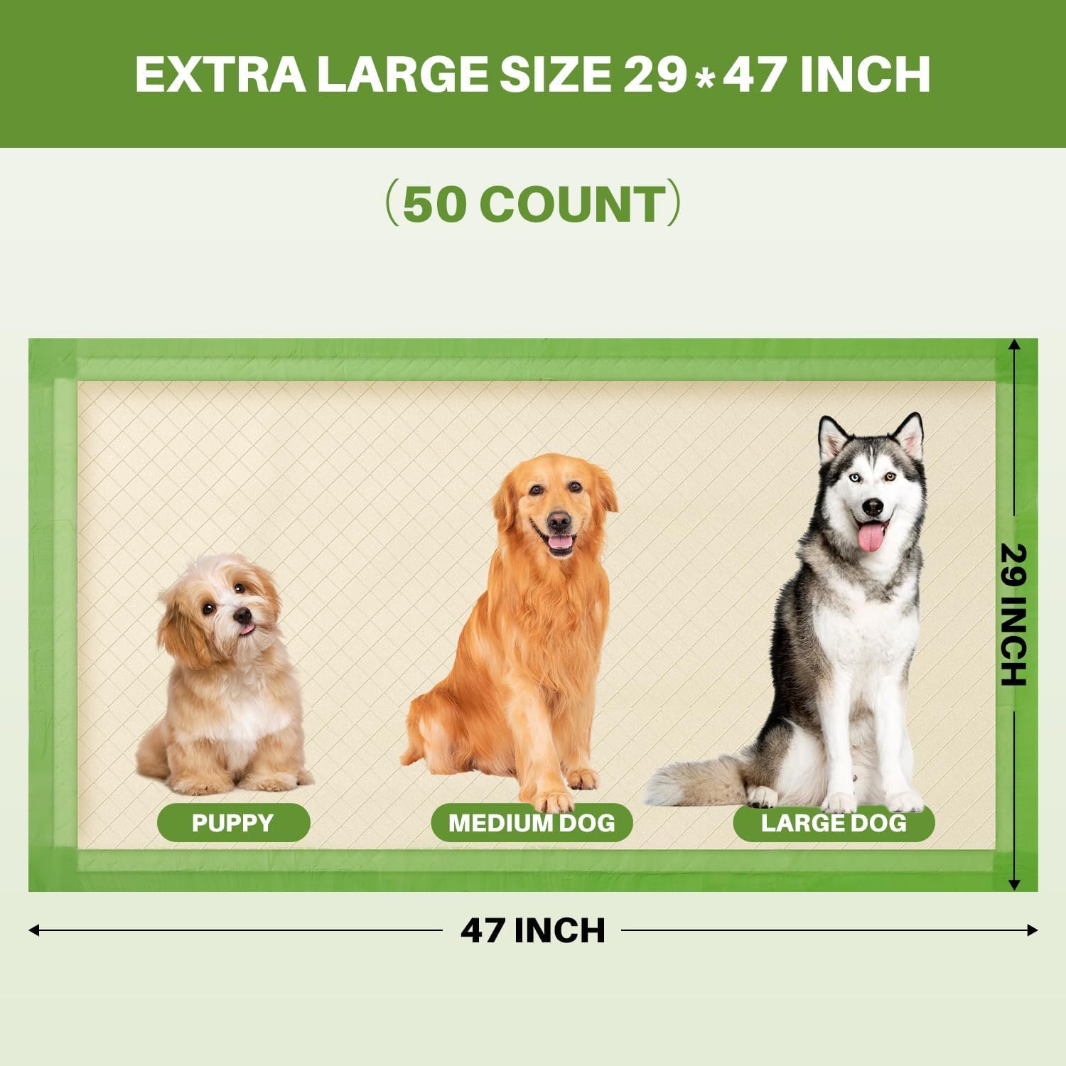 Gardner Pet Tapis Absorbant 6 Couches, maintien au sec rapide.