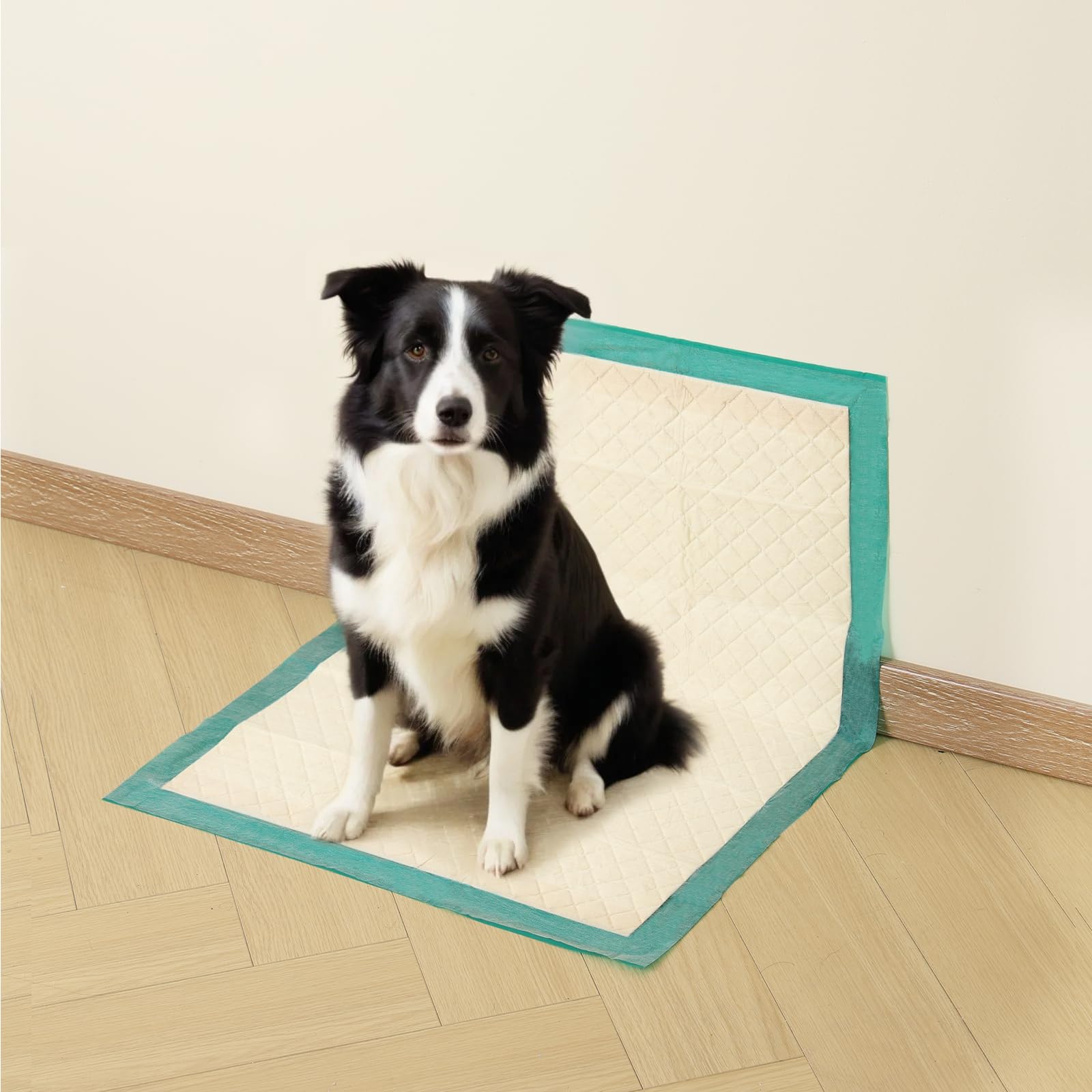 Gardner Pet Tapis chiots 18x24 – rebords renforcés évitant les débordements
