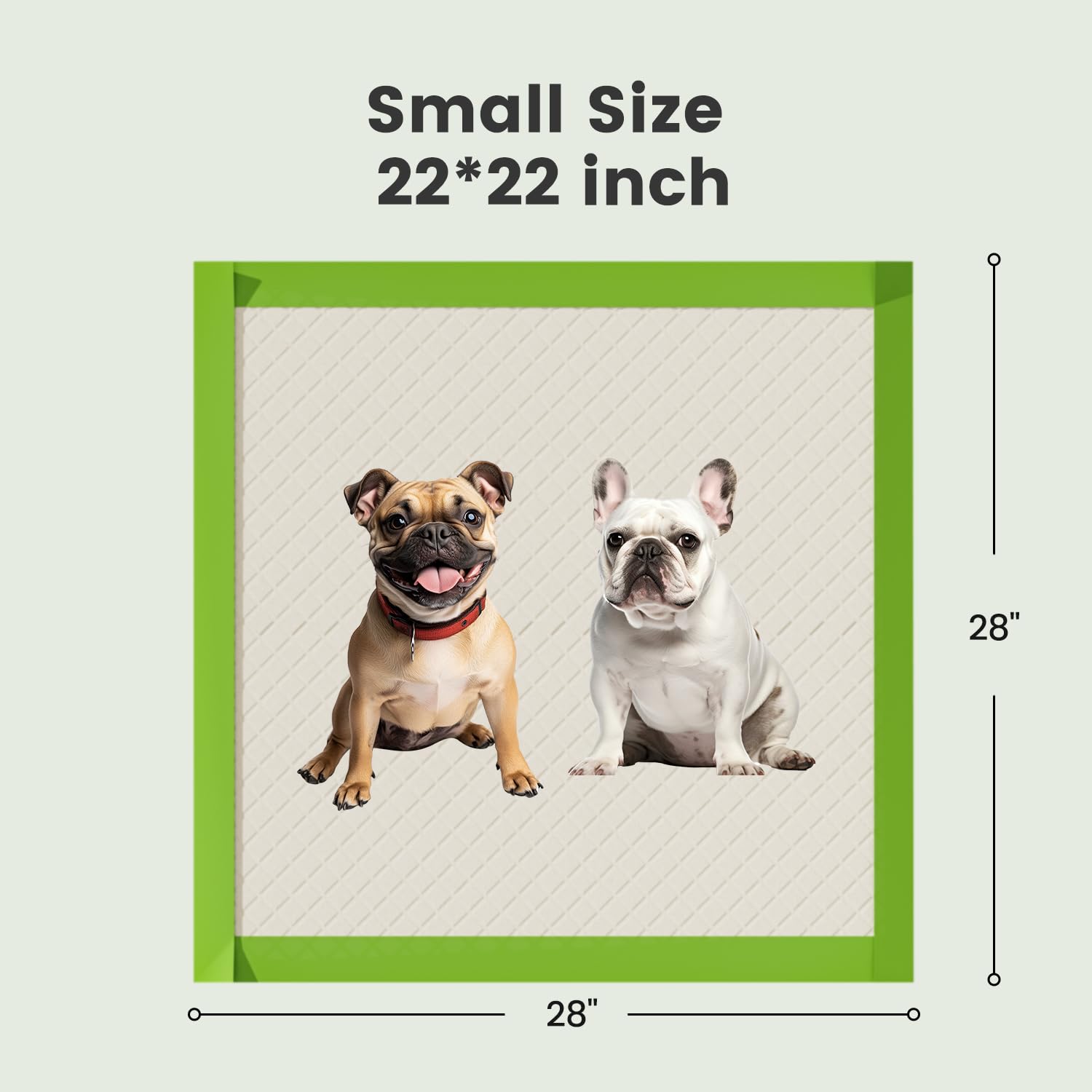 Gardner Pet tapis d'entraînement 22x22 bordure étendue pour protection.