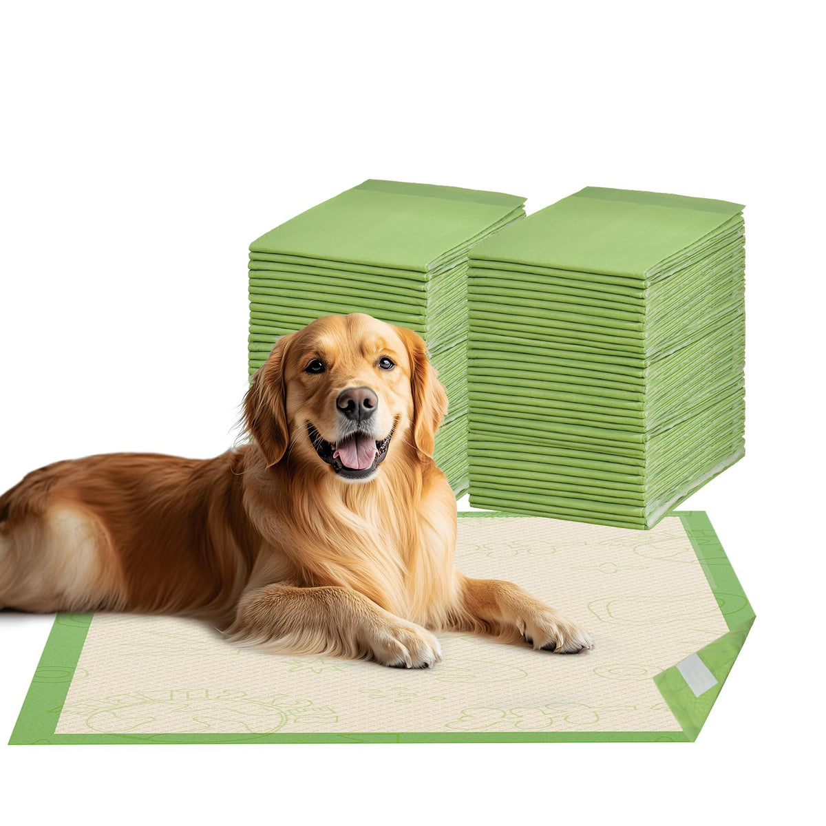 Gardner Pet tapis d entraînement chien 24x36 avec adhésif, maintien sûr sur le sol.