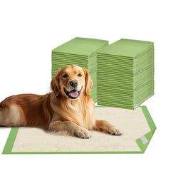 Gardner Pet tapis d entraînement chien 24x36 avec adhésif, maintien sûr sur le sol.