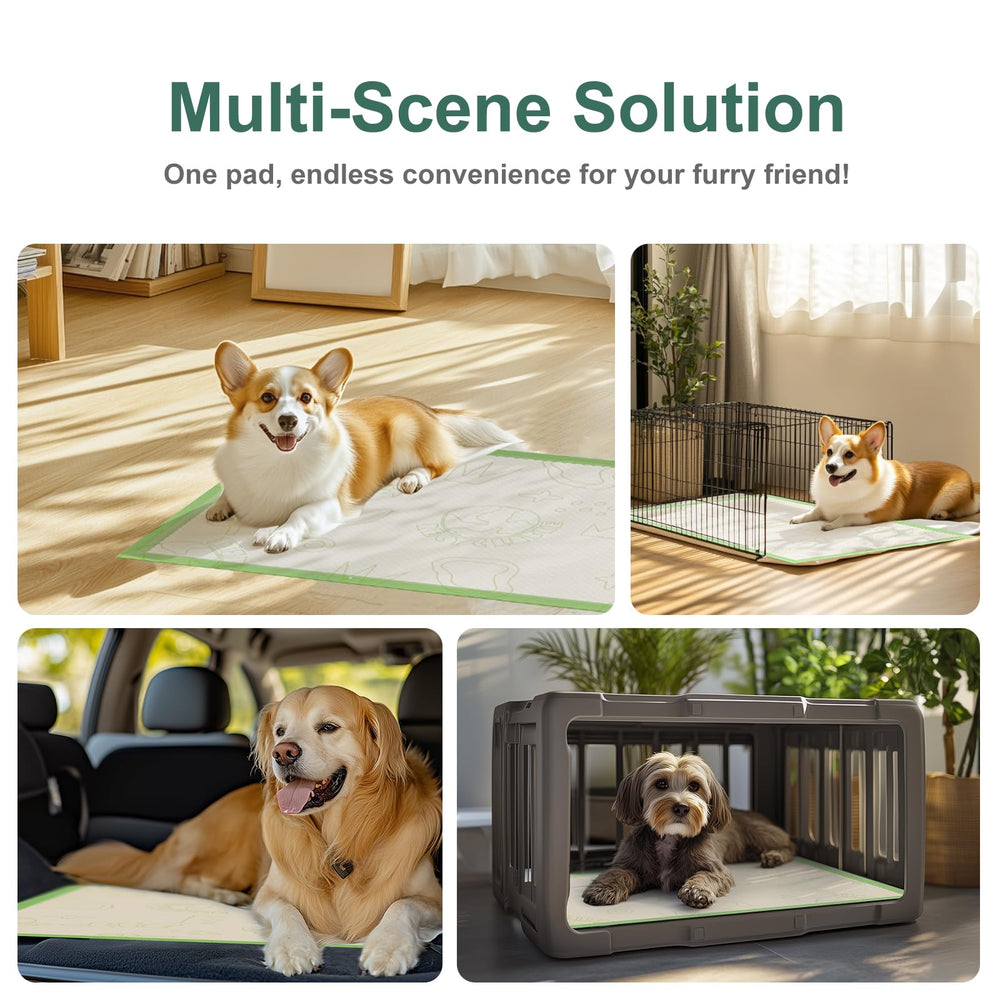 Gardner Pet tapis, nettoyage rapide après utilisation grâce au fond facile à nettoyer.