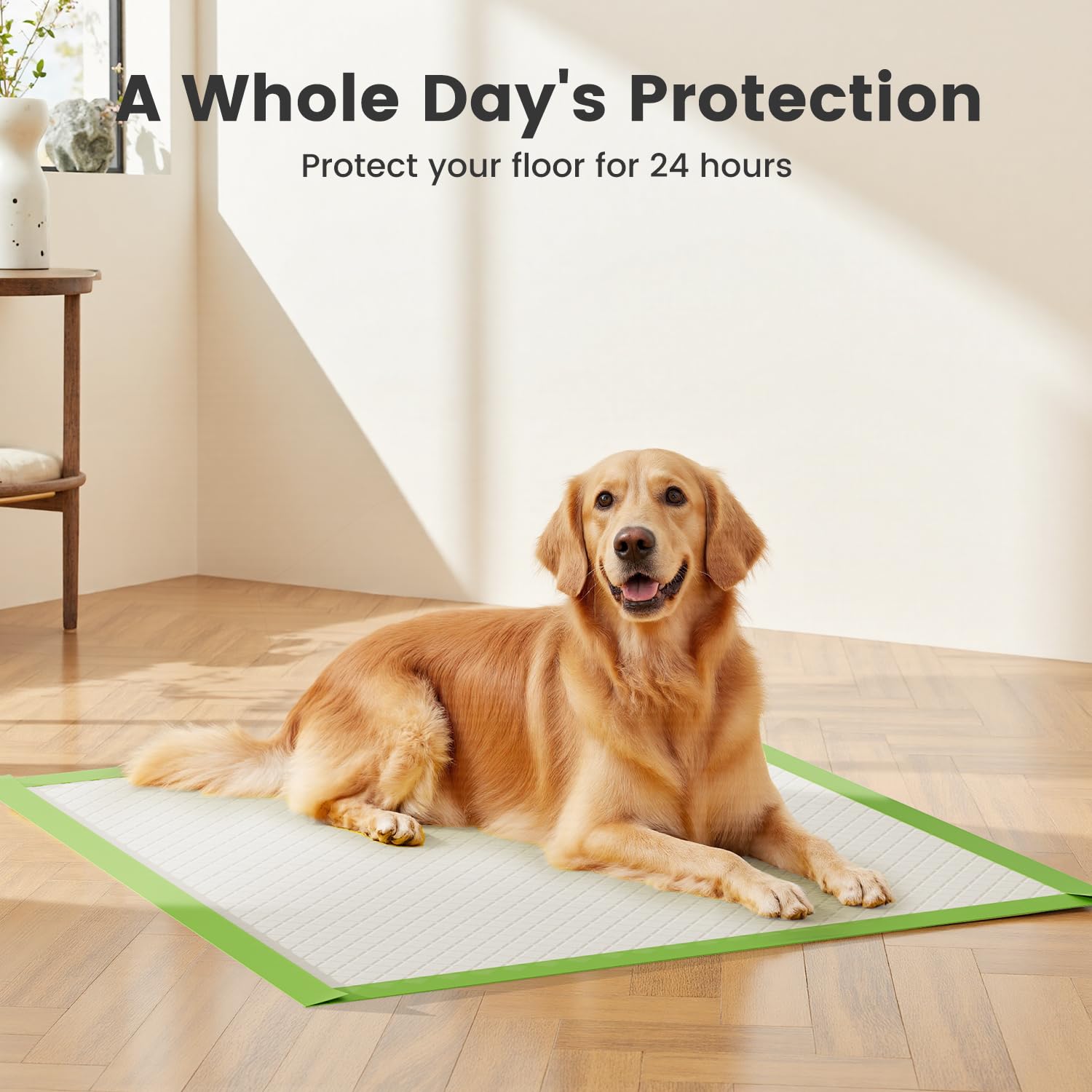 Gardner Pet face arrière imperméable réduit les liquides sur les sols et le carrelage.