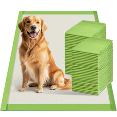 Gardner Pet Tapis Pipi XL 29x47, absorption rapide pour chiens et chiots.