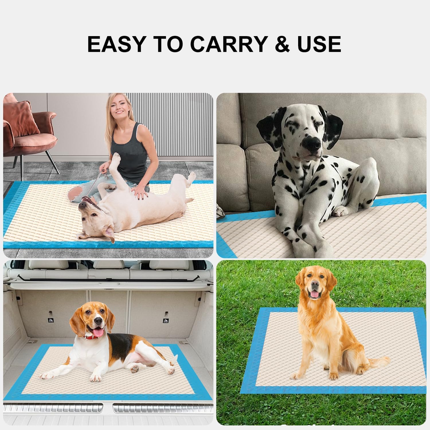 Gardner Pet protection 24 heures, tapis pratique pour intérieur.