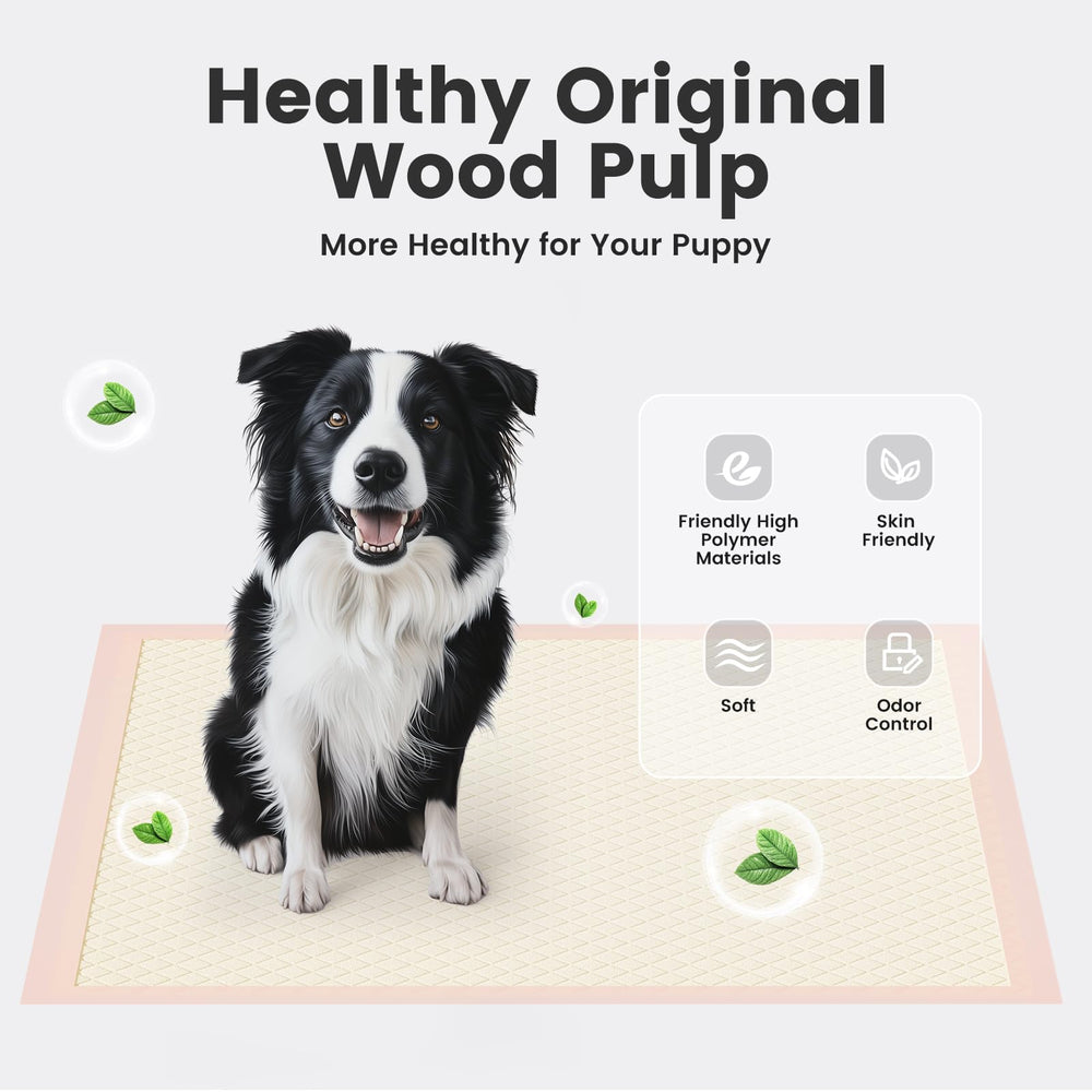 Gardner Pet Tapis Puppy Pads XL couleur apricot pour l harmonie intérieure.