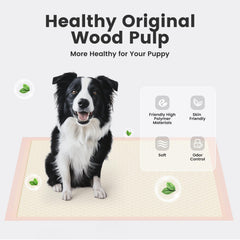 Gardner Pet Tapis Puppy Pads XL couleur apricot pour l harmonie intérieure.