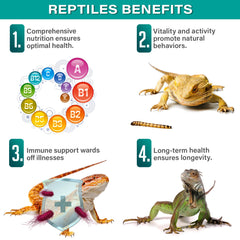 Gargeer calcium et D3 soutiennent les os des reptiles.