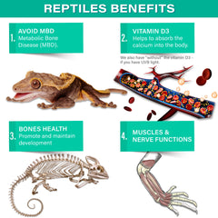 Gargeer Calcium Reptile – dosage simple à la cuillère