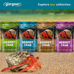 Gargeer infusion-fruits-naturels, complément savoureux pour crabes ermite