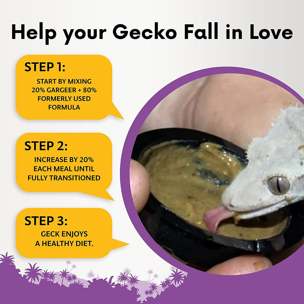 Gargeer mélange fruits pour le lézard à crête, goût naturel.