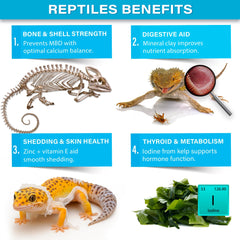 Gargeer Minéraux Complets Reptile, mélange poudre pour aliments variés.