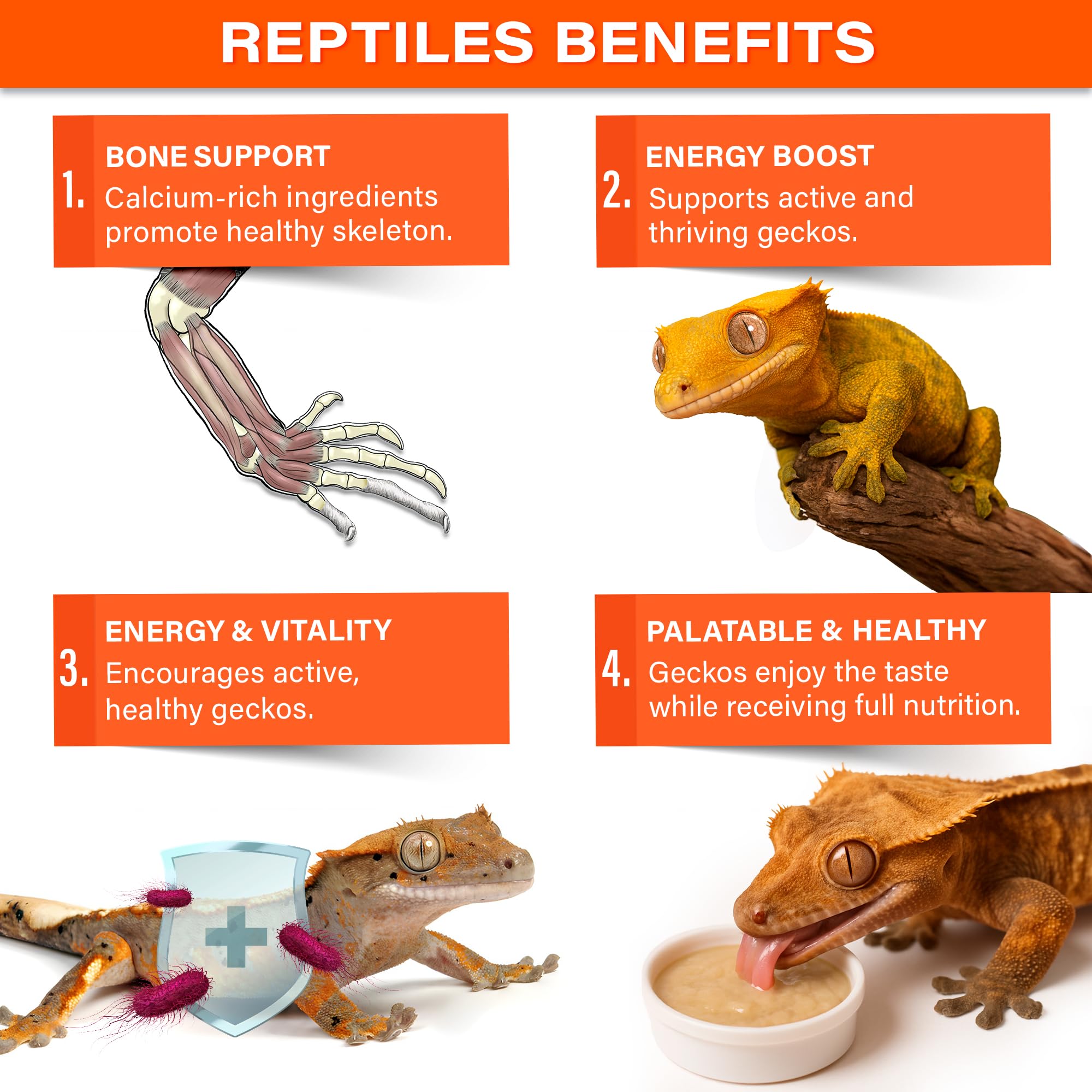Gargeer Nectar Énergie – Mélange de fruits pour stimuler l'appétit des geckos exigeants.