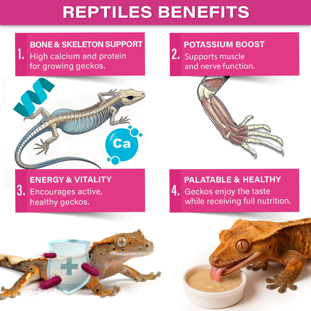 Gargeer Picky Geck Growth texture humide qui facilite l'ingestion
