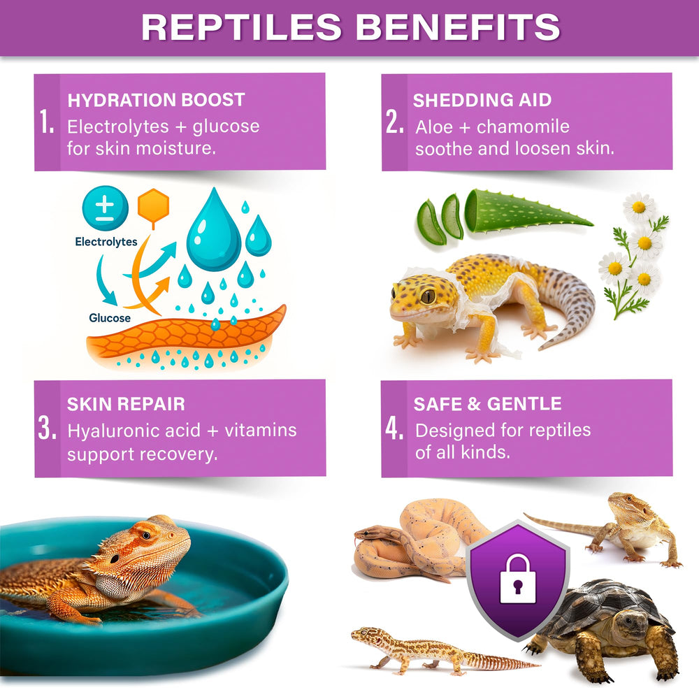 Emballage clair de Gargeer ReptiShed avec étiquette précise des ingrédients.