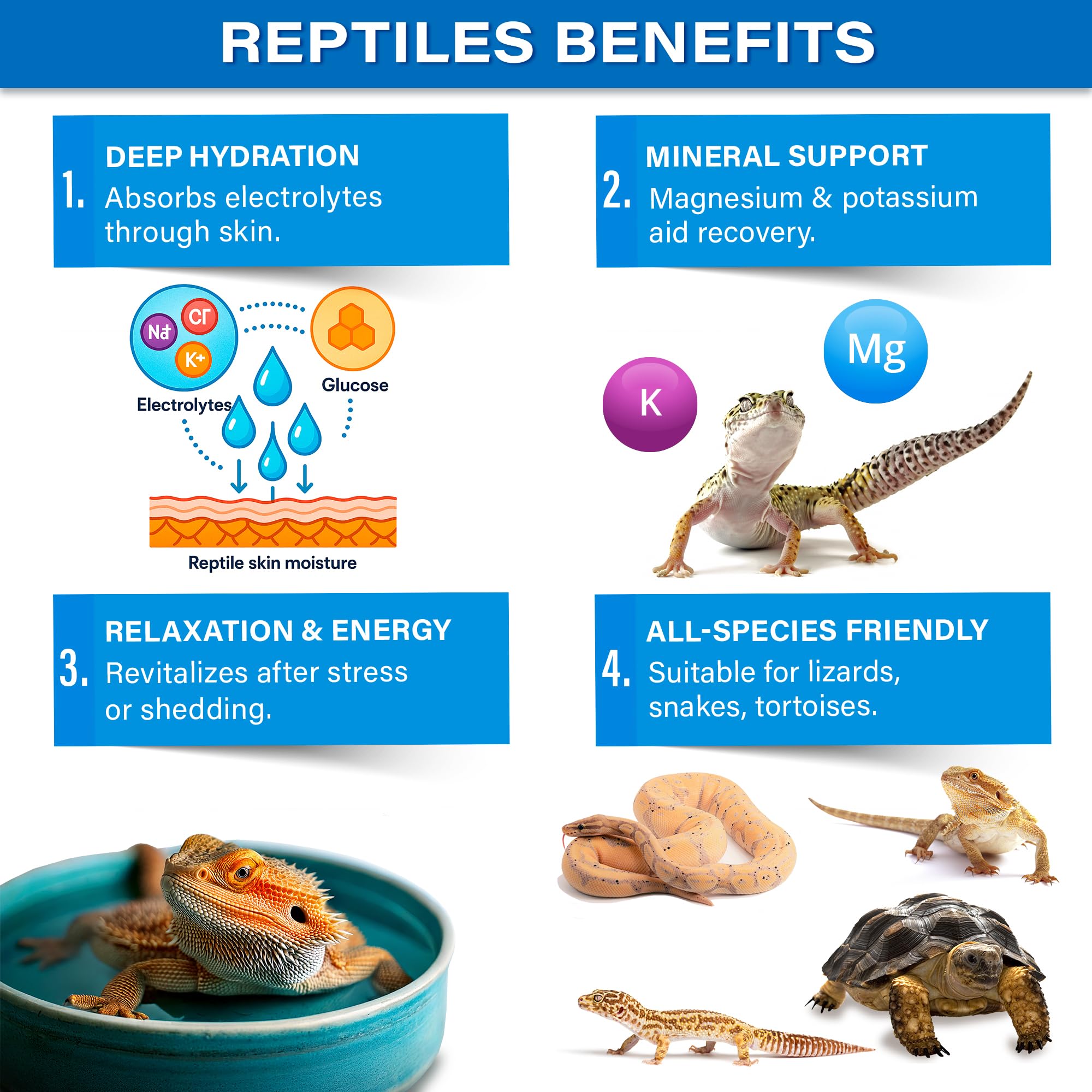 Gargeer ReptiSoak dans bain, hydratation et récupération possibles