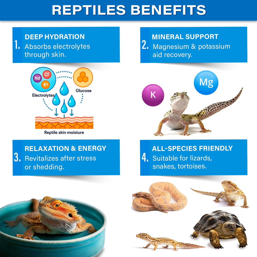 Gargeer ReptiSoak dans bain, hydratation et récupération possibles