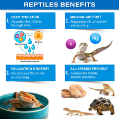 Gargeer ReptiSoak dans bain, hydratation et récupération possibles