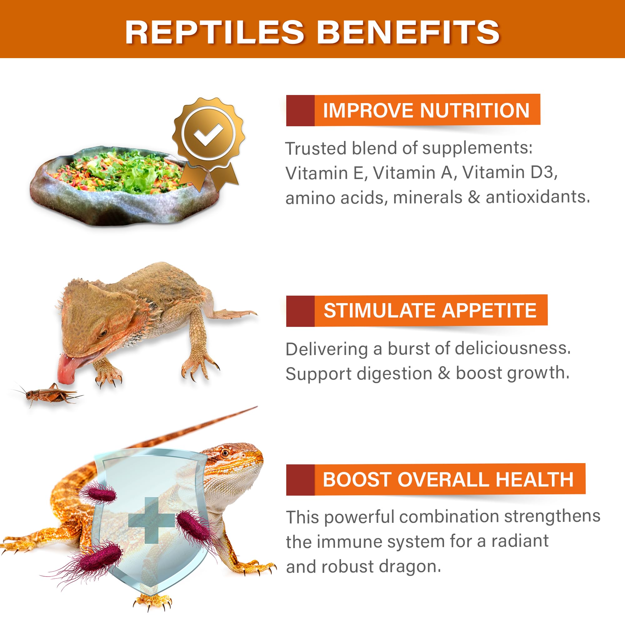 Gargeer Topper soutien digestif pour dragon barbu grâce aux plantes.