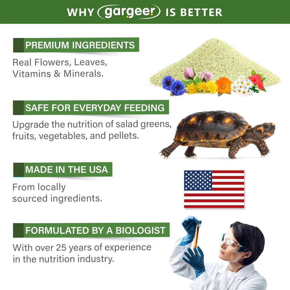 Gargeer Topper immunité tortue foret: soutien potentiel pour la vitalité quotidienne.
