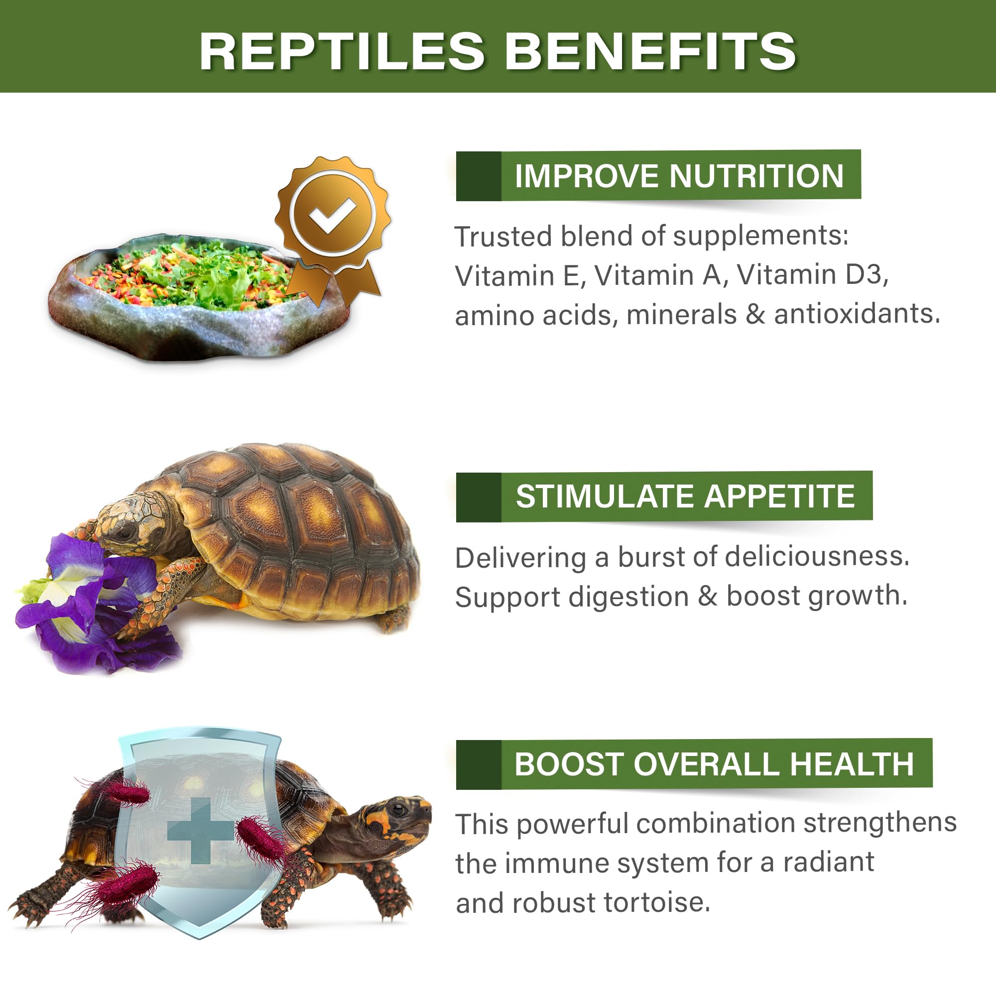 Gargeer Topper larves-noires tortue foret: source naturelle de protéines et d'énergie.