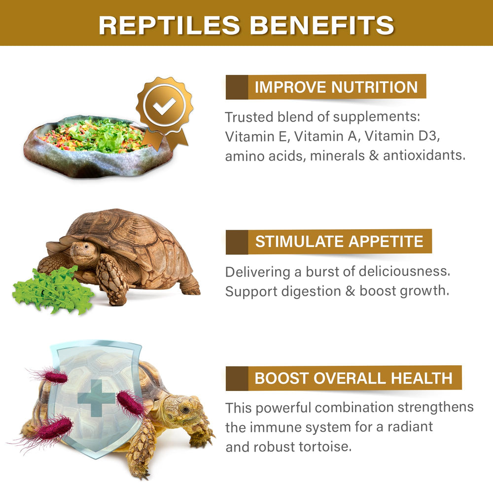 Gargeer Topper vitamines et minéraux soutenant la santé tortue.