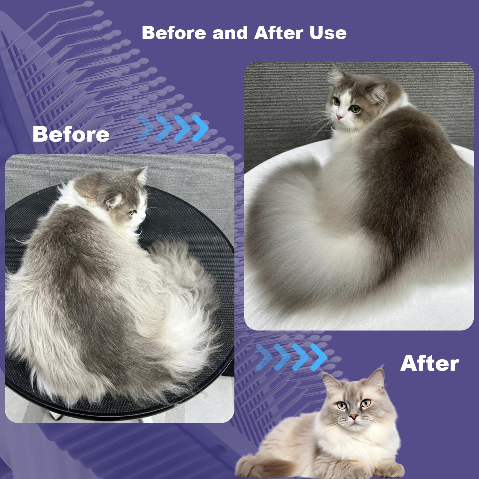 Garstor brosse chat sous-poil atteint: réduction du pelage en douceur