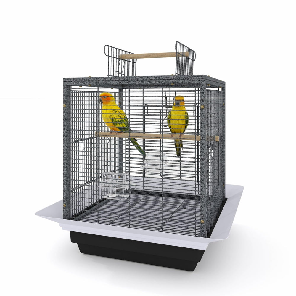 GarveeLife cage-oiseaux-petits-24pouces-noir, espace généreux pour perruches et autres oiseaux