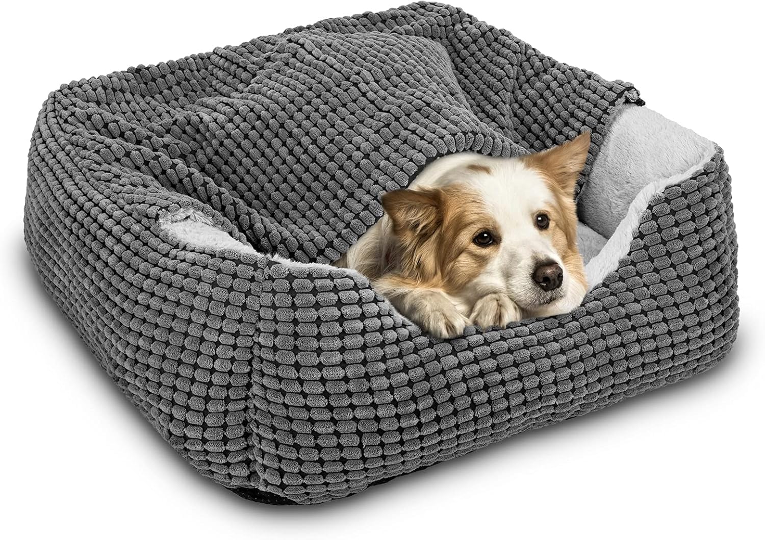 Gasur cave avec couverture douce pour chien et chat
