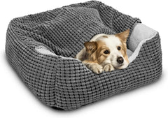 Gasur cave avec couverture douce pour chien et chat