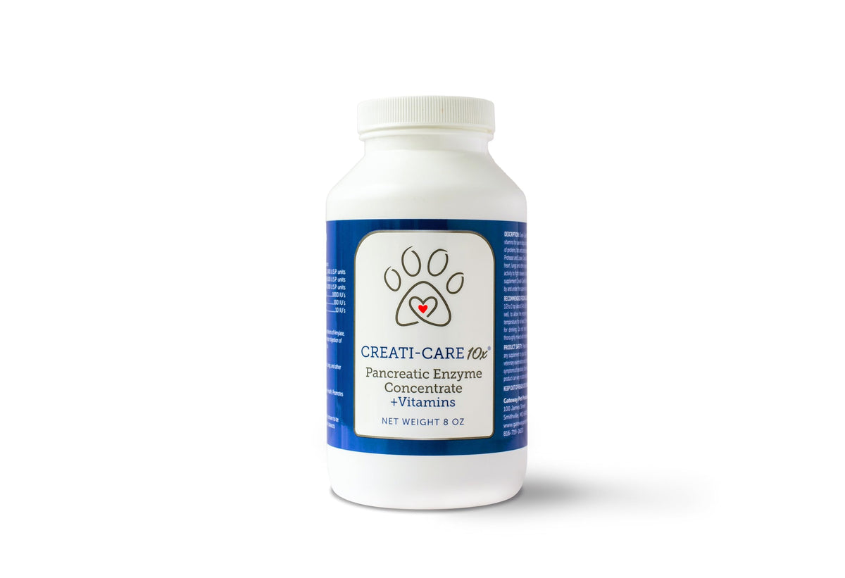 Creati-Care: bouteille d enzymes chien, soutien digestif potentiel.