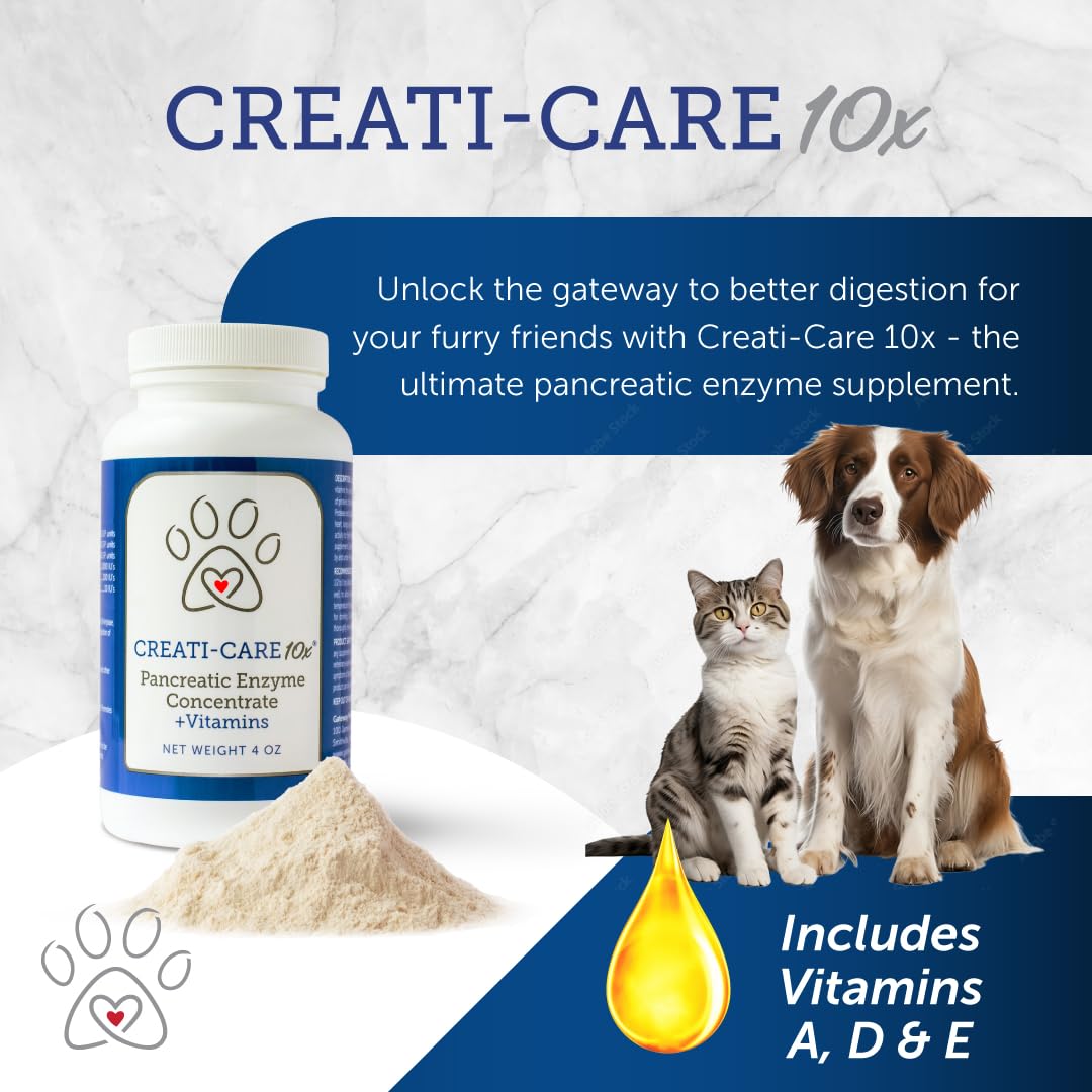 Gateway Pet Products Creati-Care poudre digestive chien, flacon pratique et refermable.