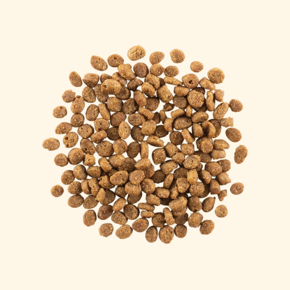 GATHER Free Acres : ingrédients bio pois et lentilles, source naturelle d'énergie