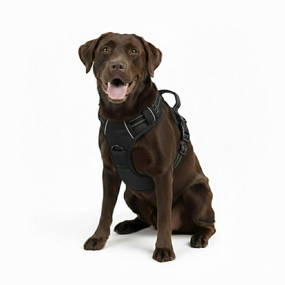 Gavpepy harnais chien anti tirage: contrôle accru lors des promenades et entraînements.