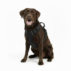 Gavpepy harnais chien anti tirage: contrôle accru lors des promenades et entraînements.