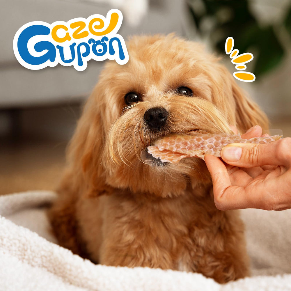 Gazeupon friandise poulet glucosamine-chondroïtine