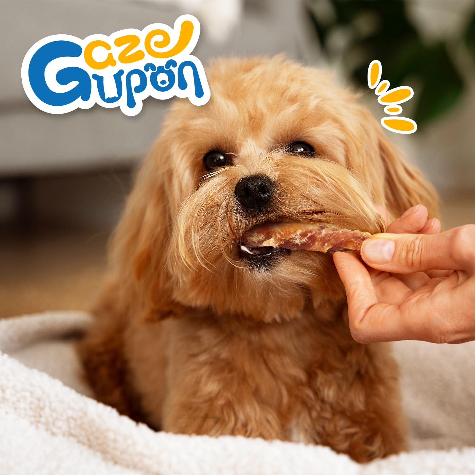 Ingrédients naturels gazeupon friandises poulet-canard patate-douce riches en fibres et vitamines.