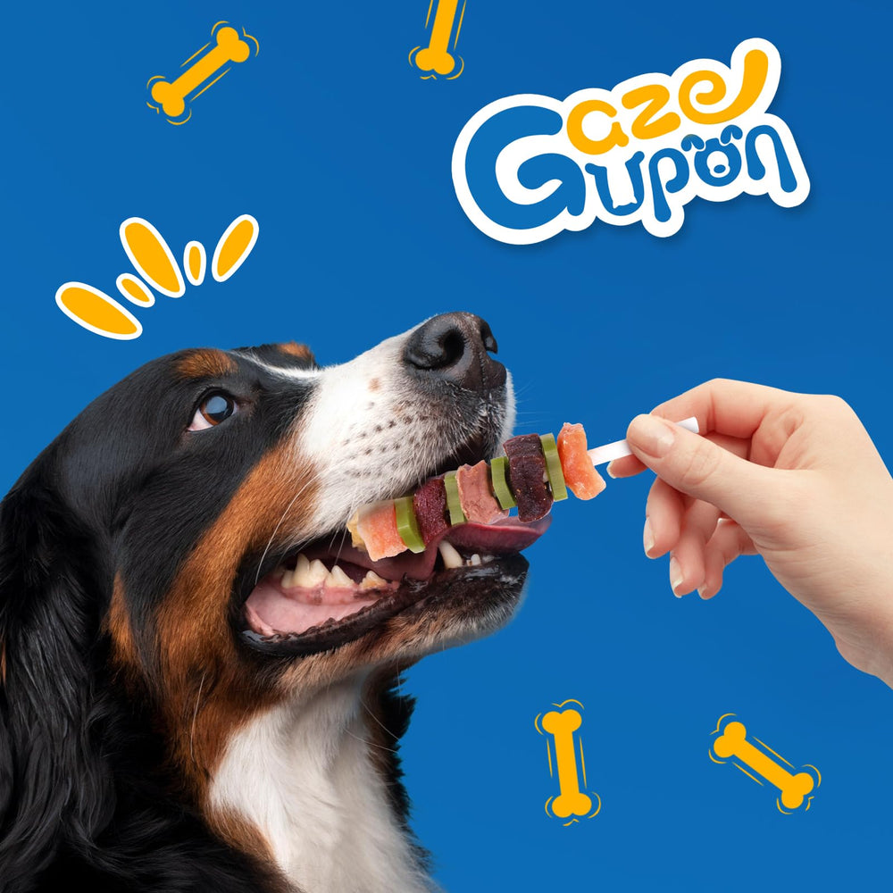 gazeupon kabobs saumon : goût savoureux et nutrition équilibrée pour chiens.